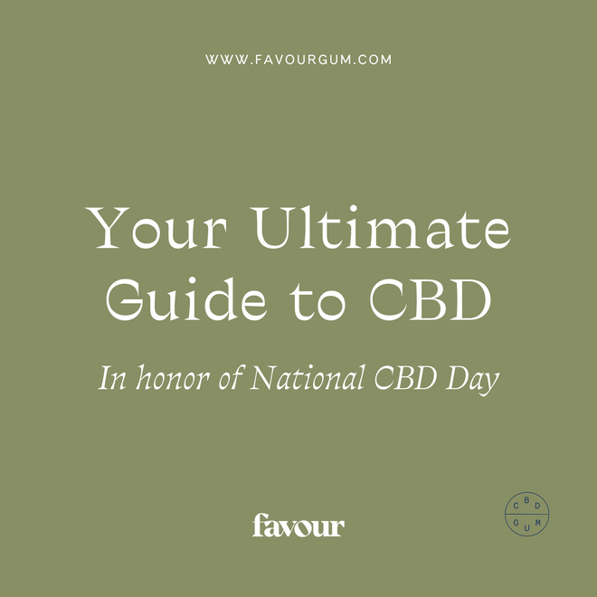 Your Ultimate Guide to CBD